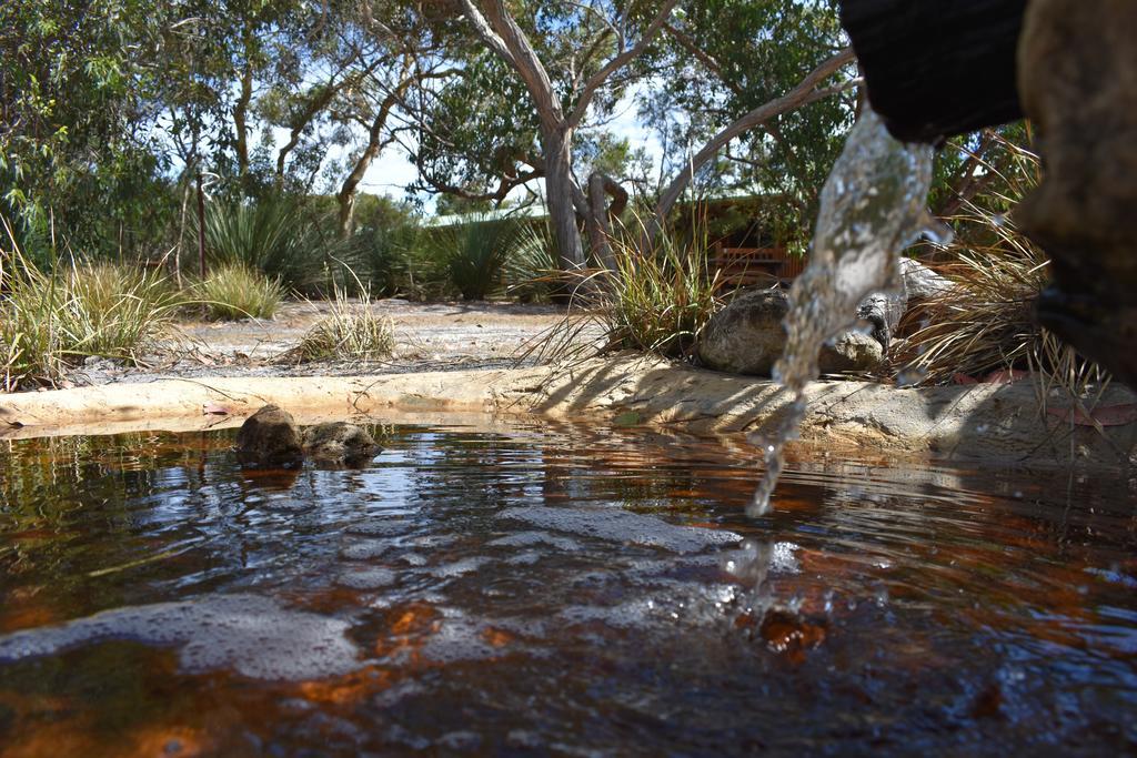 Kangaroo Island Wilderness Retreat Flinders Chase Ngoại thất bức ảnh