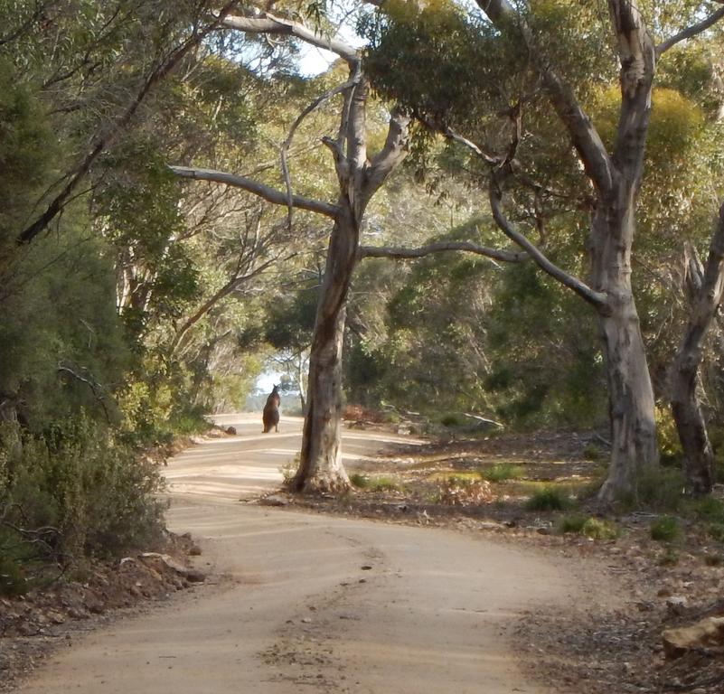 Kangaroo Island Wilderness Retreat Flinders Chase Ngoại thất bức ảnh