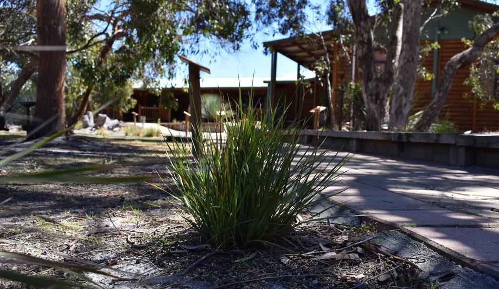 Kangaroo Island Wilderness Retreat Flinders Chase Ngoại thất bức ảnh