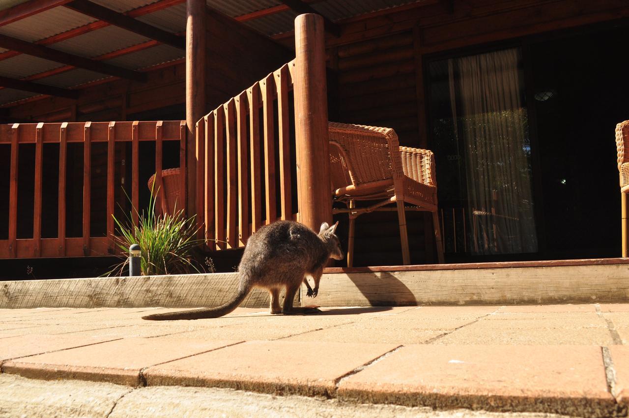 Kangaroo Island Wilderness Retreat Flinders Chase Ngoại thất bức ảnh