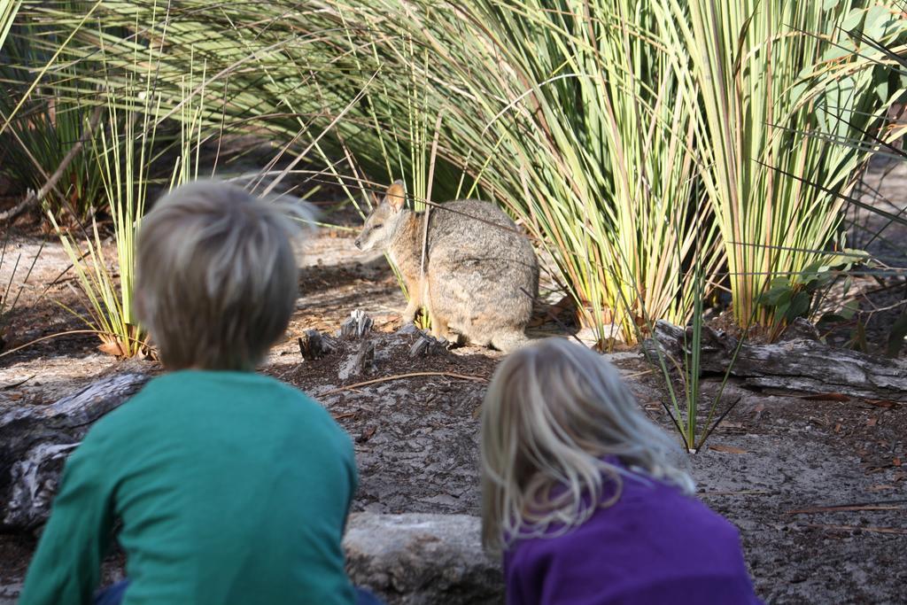 Kangaroo Island Wilderness Retreat Flinders Chase Ngoại thất bức ảnh